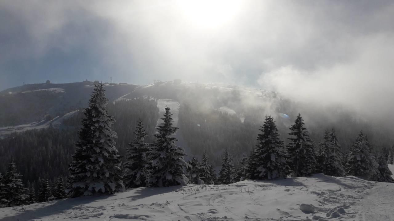 Lux Apartman B1 Milmari Kopaonik Exterior foto